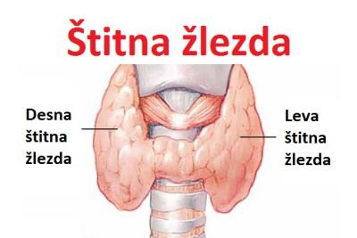 Endokrinološki pregled + Ultrazvuk štitne žlezde + TSH, FT3, FT4