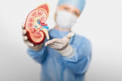 Nefrološki  pregled sa ultrazvukom bubrega i bešike