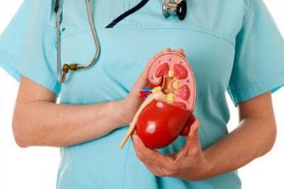 Nefrološki pregled + ultrazvuk bešike, bubrega i mokraćovoda