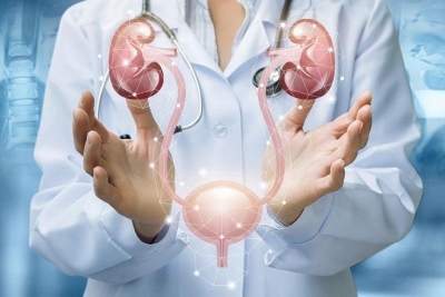 Pregled urologa sa urološkim ultrazvukom