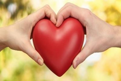 Ultrazvuk srca sa kolor doplerom, EKG zapis I ultrazvuk abdominalne aorte.Akija